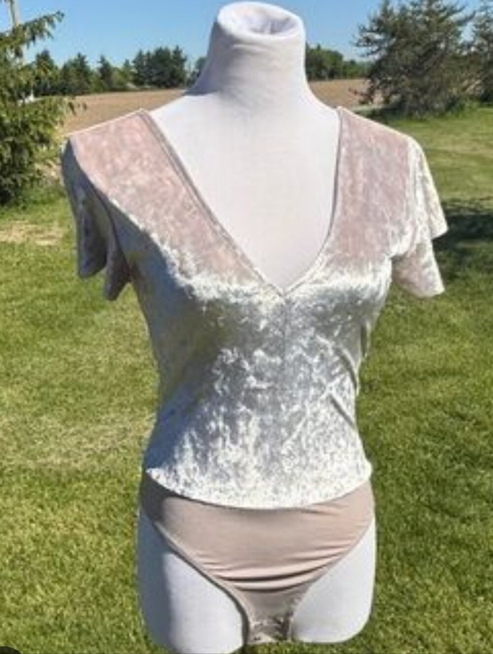 NWT Velvet V-Neck Ruffled Sleeve Bodysuit Cream L
